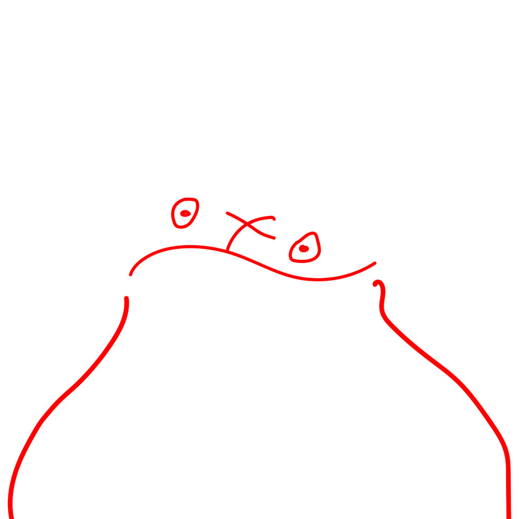 p2-01